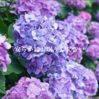 鵜崎庚一先生ご逝去　アナリーゼ　セミナー