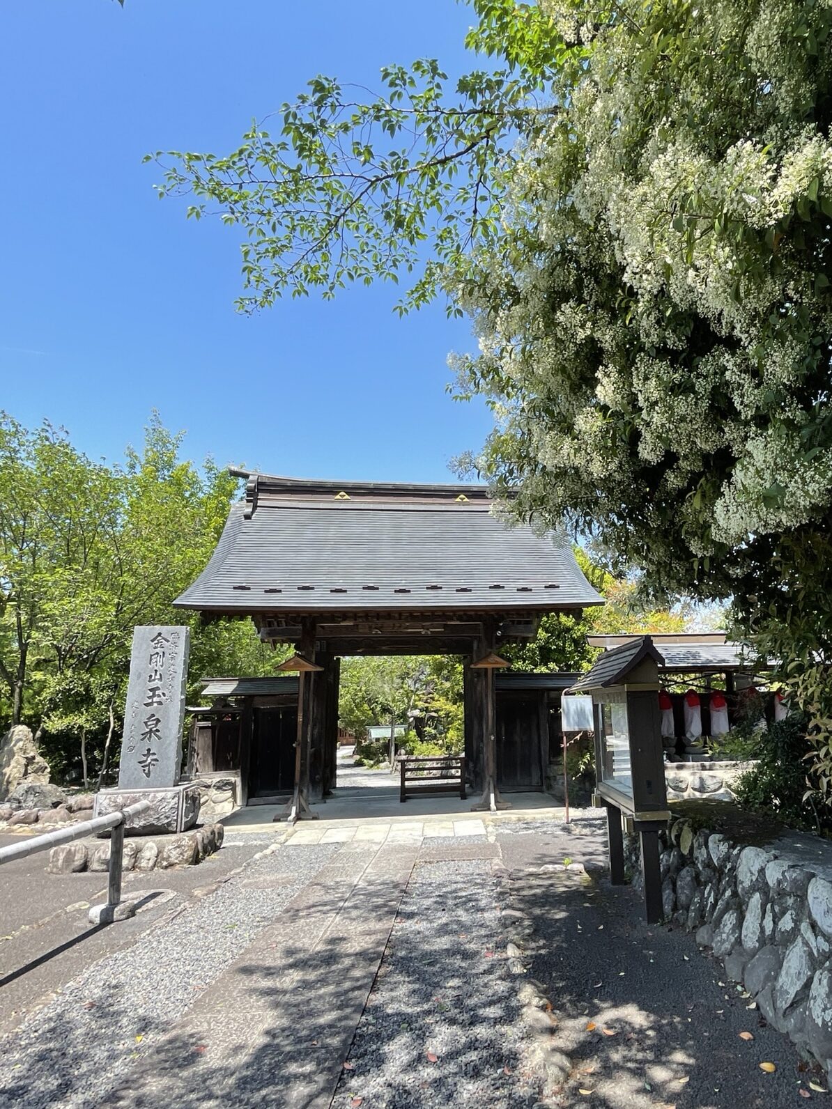 金剛山玉泉寺の本堂内部。木材の温もりを感じる厳かな空間で、能登半島地震チャリティー『奏でる法話』コンサートが開催される。落ち着いた照明が灯り、静謐な雰囲気を醸し出している。